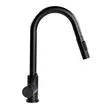 LIPPERT COMPONENTS Inc. Bullet Pull-down Faucet - Blac - 2021090600