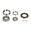 CURT MANUFACTURING LLC Bearing Kit, 5200# Axle - 333949