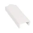 AP PRODUCTS Screw Cover Mldg Pw Elxr 8' - 011-357-10