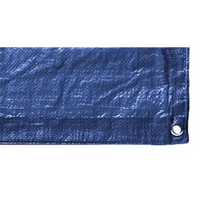 DEWITT / POLYTUF Tarp Blue 8X10 - M8X10