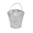 STANSPORT Citronella Bug Repellant Candl - 125