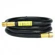 ENERCO GROUP INC 5ft Hose 1/4in Mp X 1/4in Fp - F273717