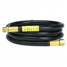 ENERCO GROUP INC 5ft Hose 1/4in Mp X 1/4in Fp - F273717