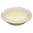 LASALLE BRISTOL Oval ABS Sink 10x13 Parch - 16156PP