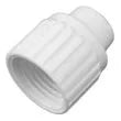 ESCO Cap 1/2"FTG - 06860