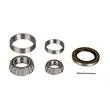 CURT MANUFACTURING LLC Bearing Kit, 6000# Axle - 333950